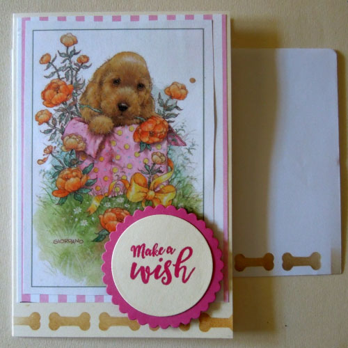 Make a wish_puppy in box
